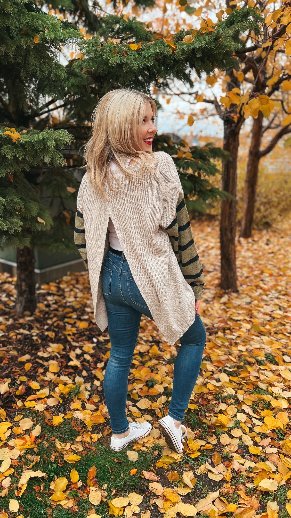 Cecilia Knit Sweater