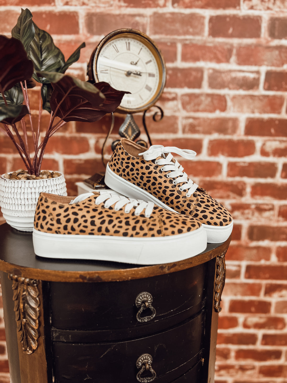 Shelley Leopard Sneaker