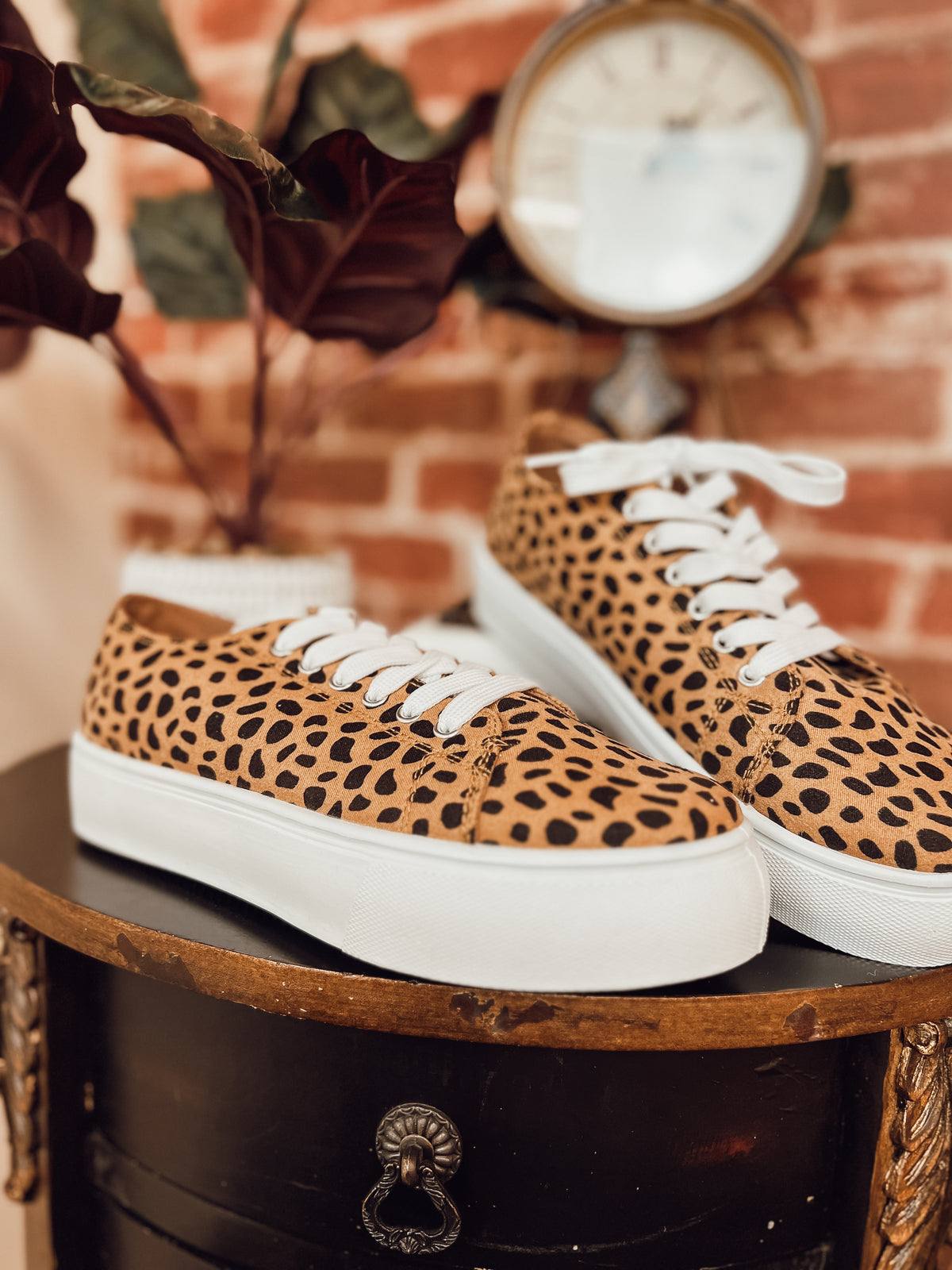 Shelley Leopard Sneaker